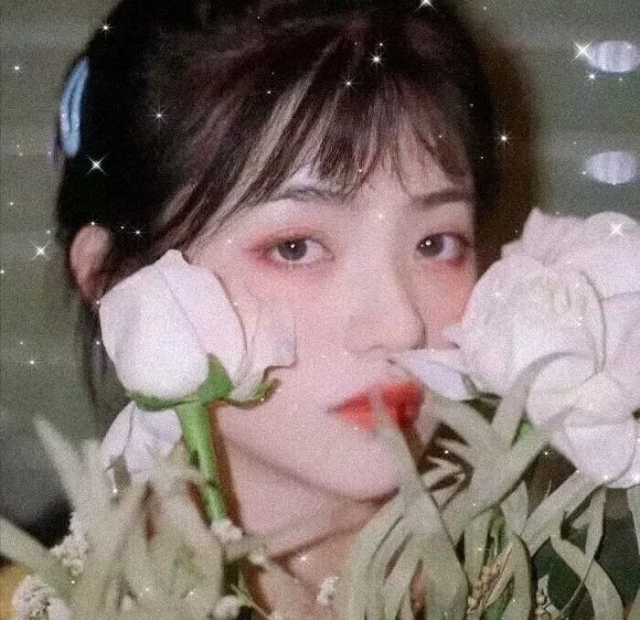 南极大冒险