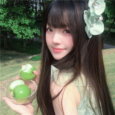 夏绿蒂的网